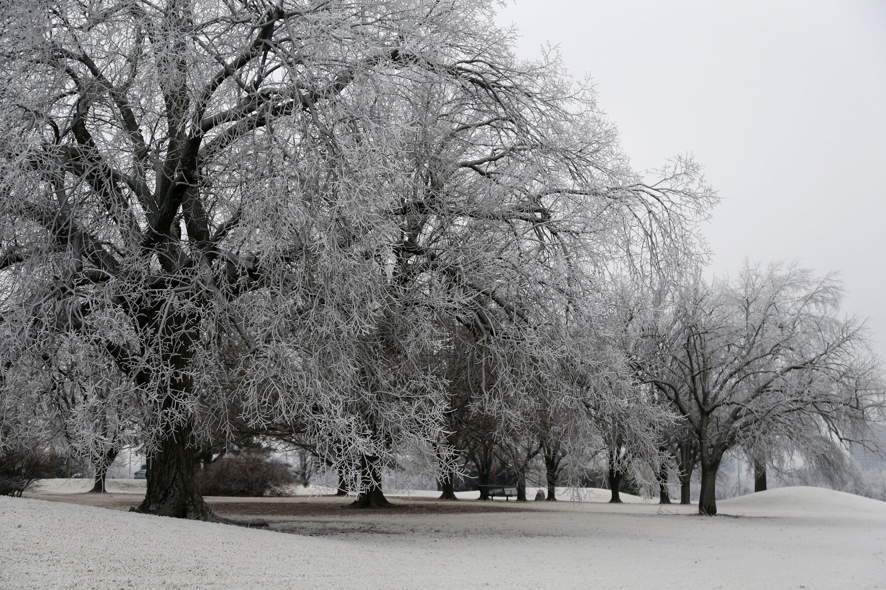 Frost Features